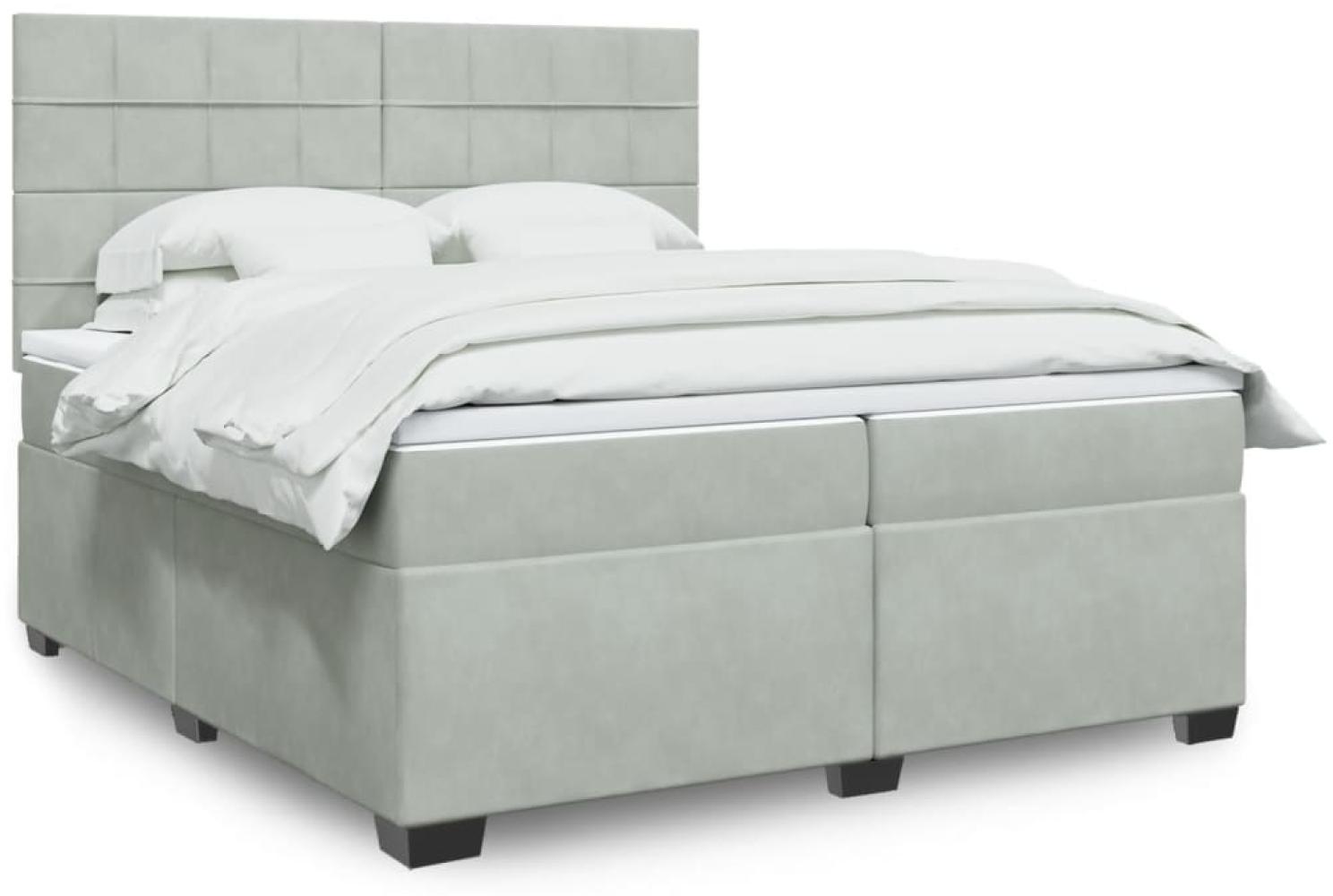 vidaXL Boxspringbett mit Matratze Hellgrau 200x200 cm Samt 3293302 Bild 1