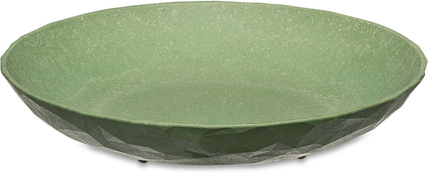 Koziol Tiefer Teller 4er-Set Club Plate, Suppenteller, Schalen, Kunststoff-Holz-Mix, Nature Leaf Green, 22 cm, 5006703 Bild 1