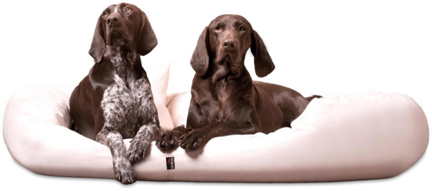 SAMMY EASY CLEAN Orthopädisches Hundebett - 05 Creme, 140x105cm Bild 1