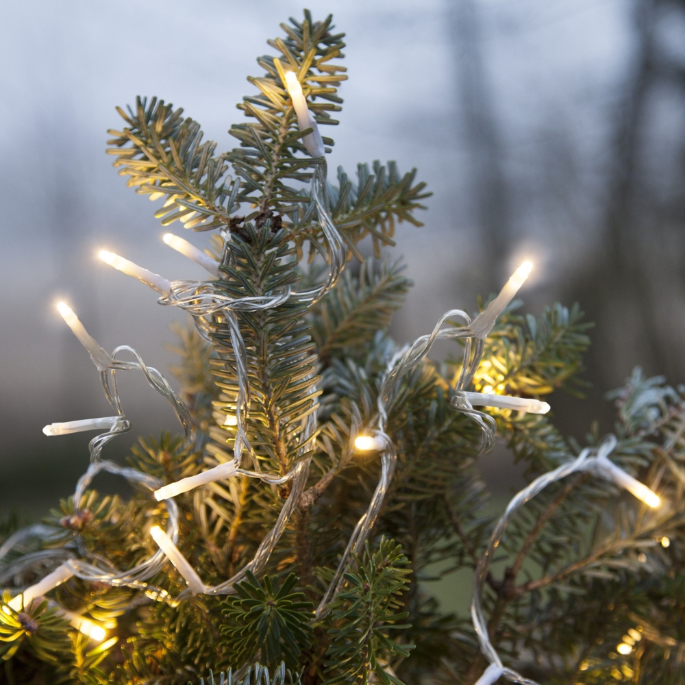 LED-Lichterkette "Serie Micro-LED", 180 ww LED,18m Bild 1