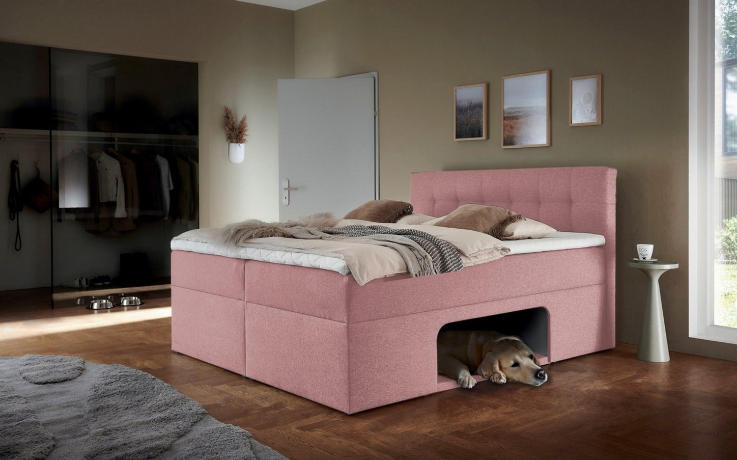 Places of Style Boxbett Carolin, mit Nische inkl. gepolsterter Unterlage für Haustiere Bild 1