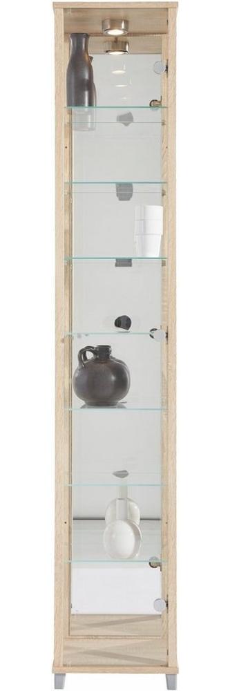 fif möbel Vitrine OPTIMA Standvitrine/Glasvitrine 1x Glastür,perfekt für Sammler,Sammlervitrine Bild 1