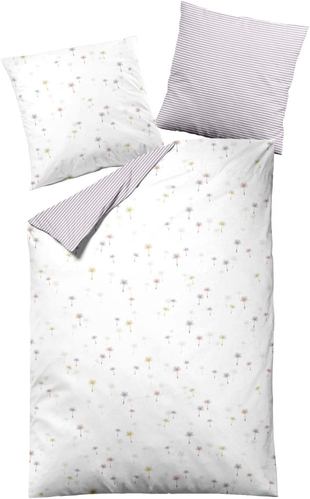 Dormisette Cotton Renforce Bettwäsche 155x220 Schirmflieger Wende flieder 2862-60 Bild 1