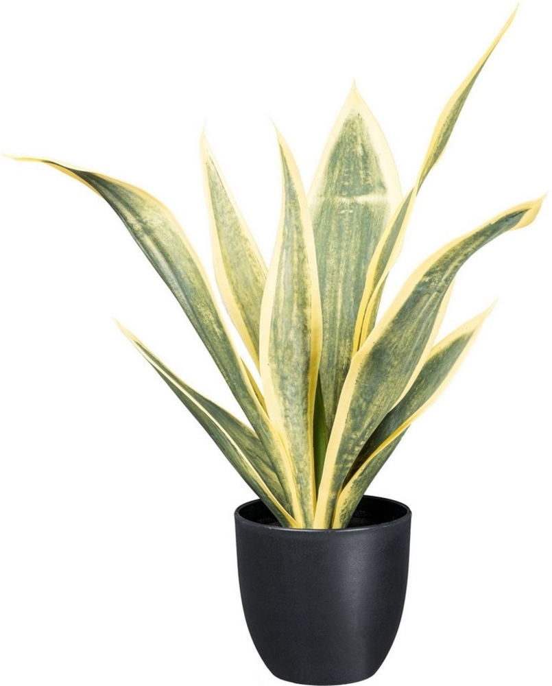 Künstliche Zimmerpflanze Sanseveria Trifascia Grünpflanze, Creativ green, Höhe 53 cm, mit grüngelben Blättern Bild 1