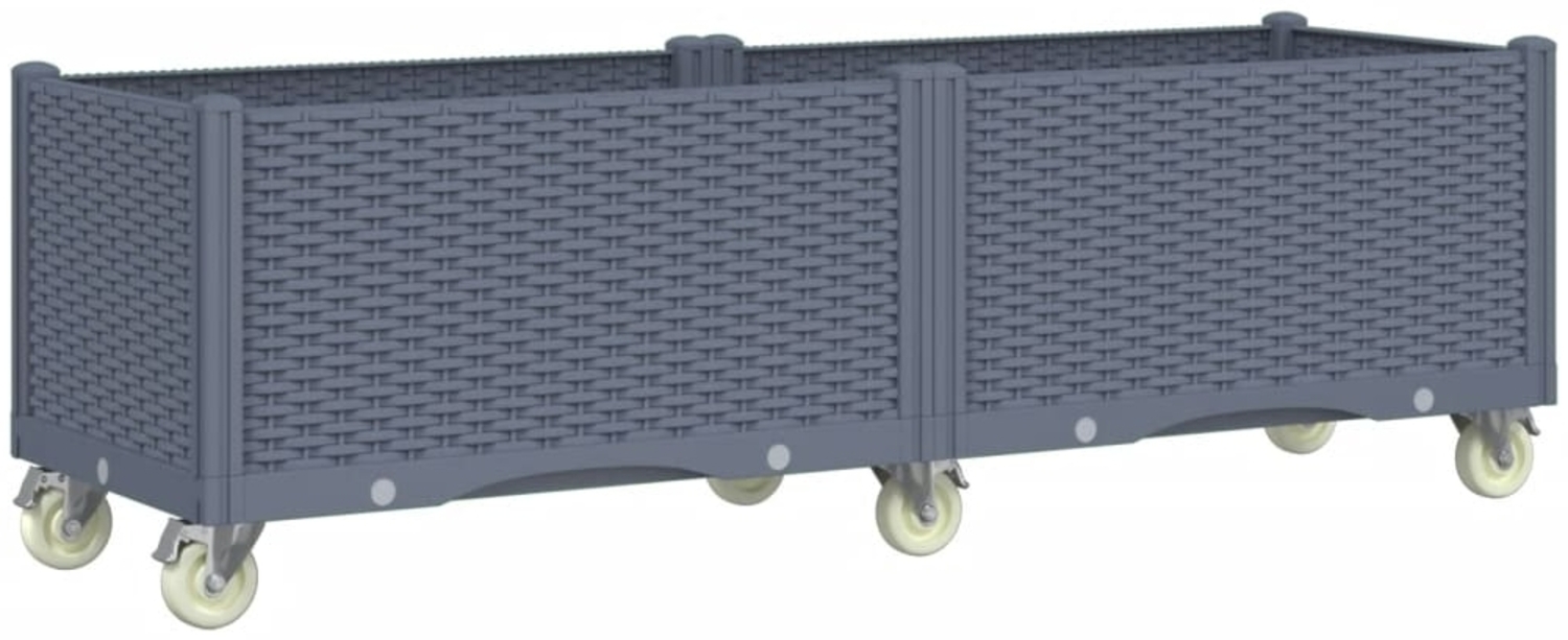 vidaXL Pflanzkasten mit Rollen Blaugrau 160x50x54 cm PP 367979 Bild 1