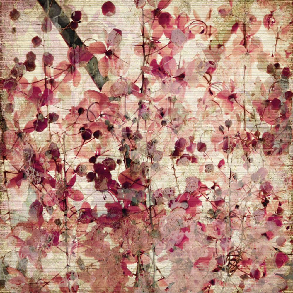 Leinwandbild Kunst Vintage Rosa Beige Grün 50x50 DD123299 Wandbild Leinwand Bild 1