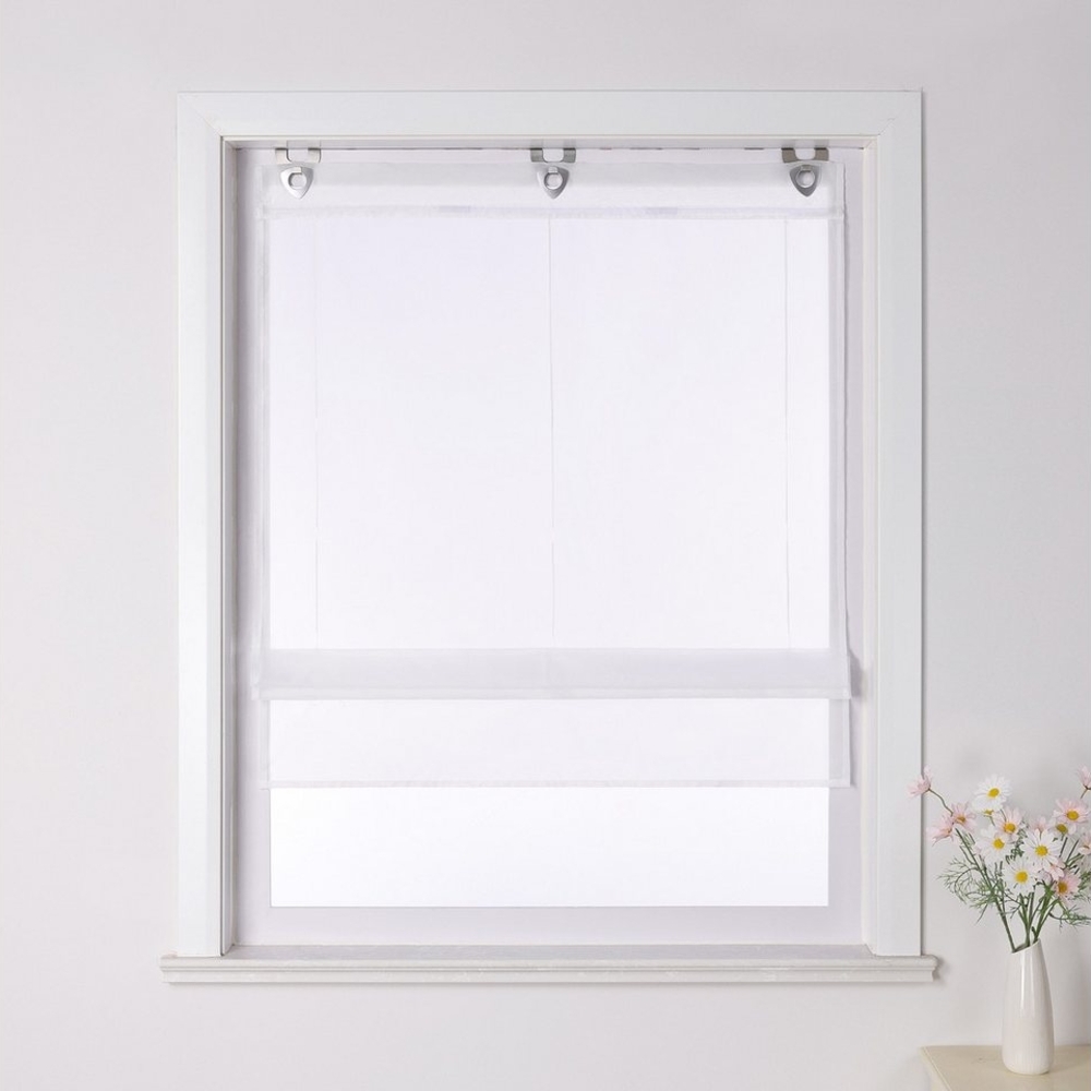 Joyswahl Raffrollo Hanna, mit Hakenaufhängung, Voile Ösenrollo Unifarbige Bild 1