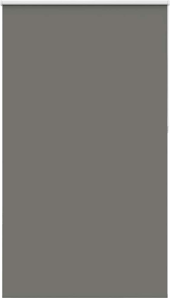 vidaXL Verdunkelungsrollo Grau 145x230cm Stoffbreite 141,6cm Polyester 4011215 Bild 1