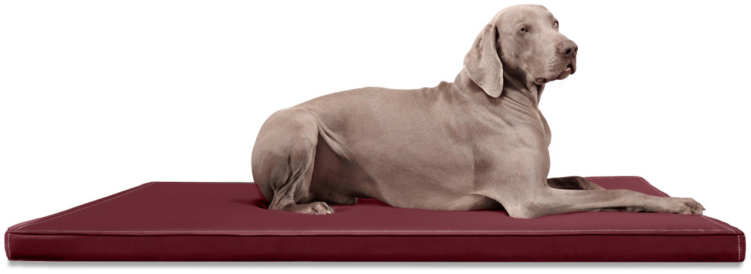 CARLOS Orthopädische Hundematratze Hundematte - 04 Dunkelrot, 120x90cm Bild 1