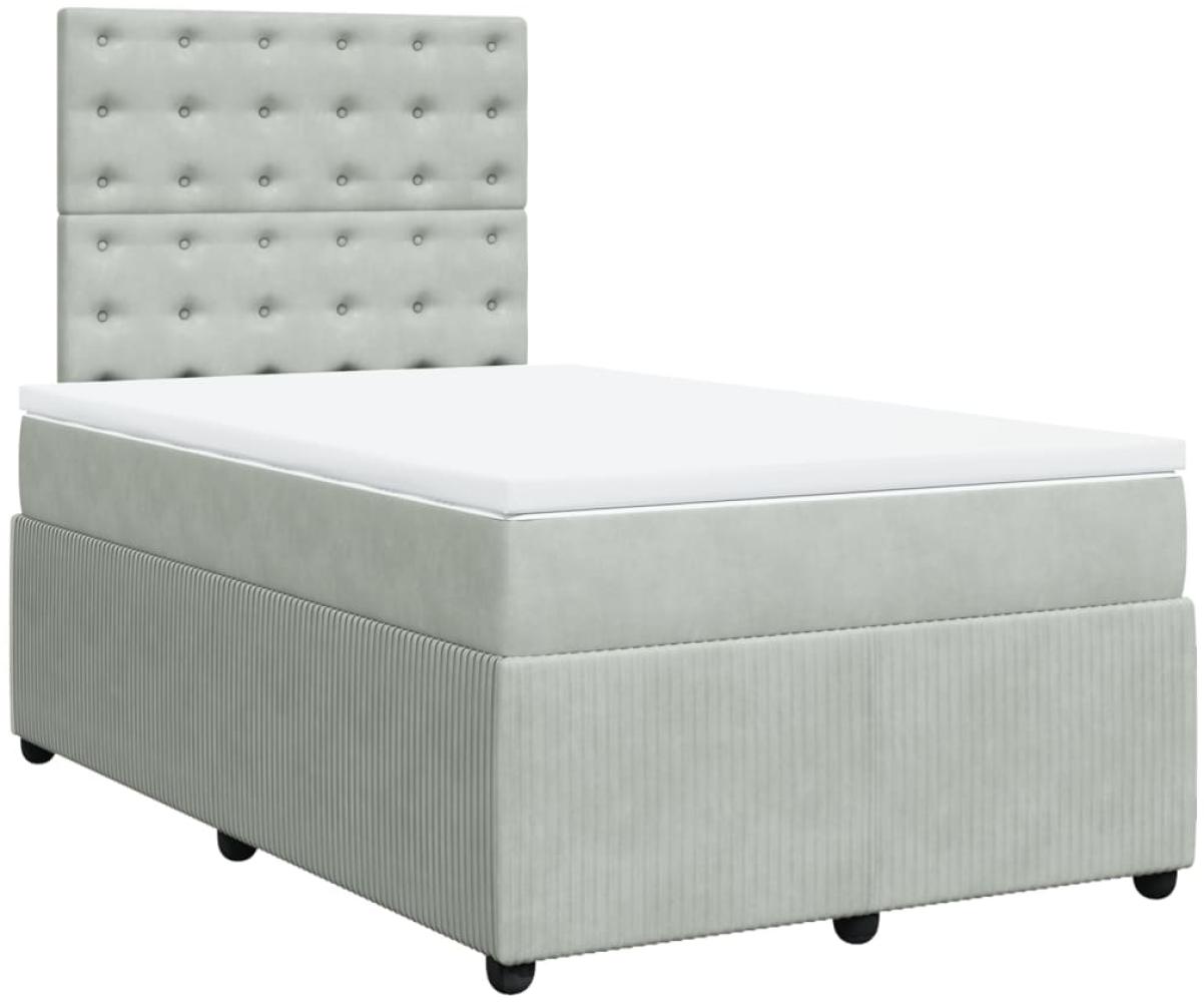 vidaXL Boxspringbett mit Matratze Hellgrau 120x200 cm Samt 3292322 Bild 1
