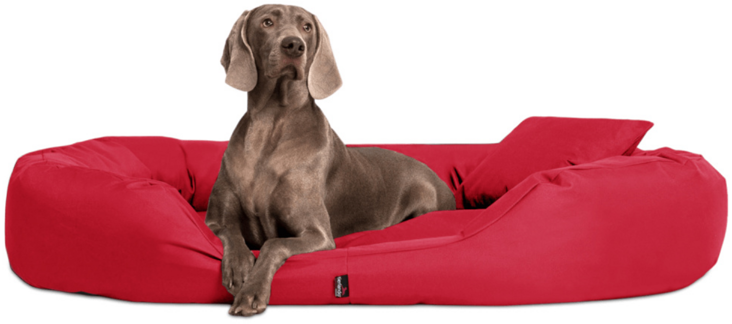 SAMMY Orthopädisches Hundebett - 04 Dunkelrot, 170x110cm Bild 1