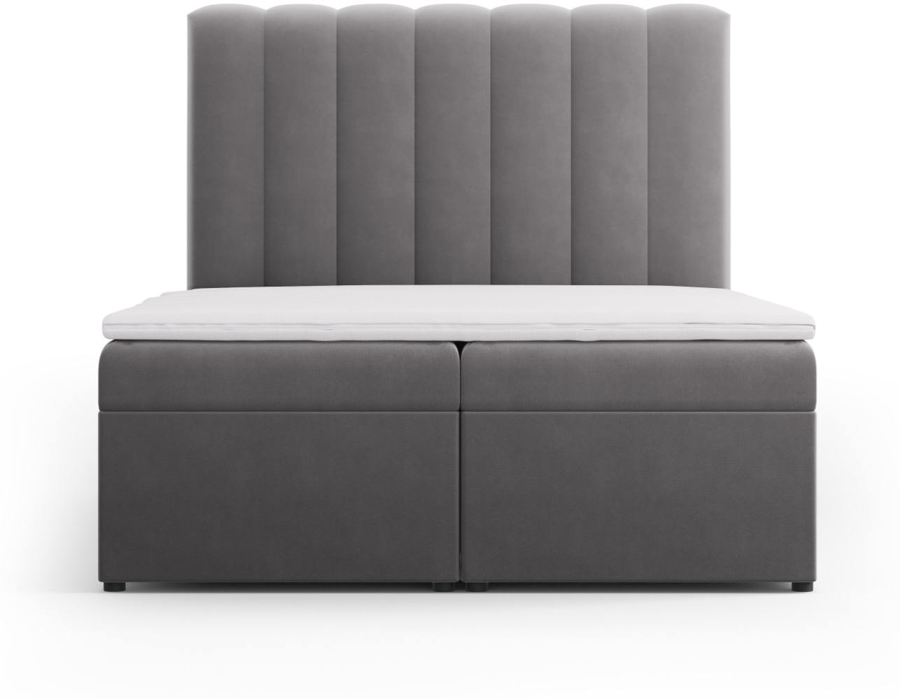 Micadoni Boxspringbett Kelp Samt Grau 140x200 Bild 1
