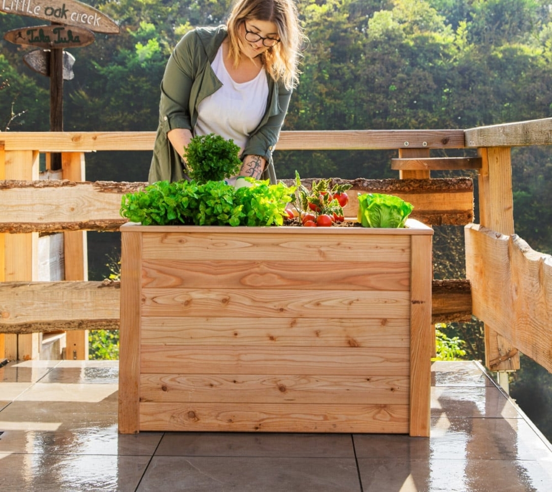 Westmann Lärchenholz Hochbeet Klassik 100 | Natur Bild 1