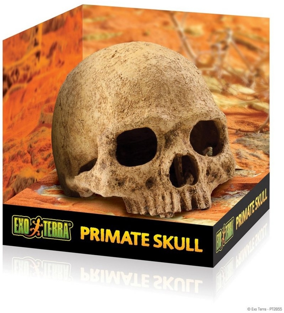 Exo Terra Terrariendeko Versteck Primate Skull Bild 1