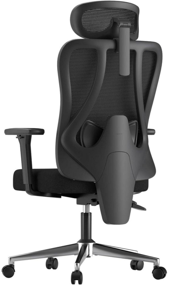 Hbada P3 Bürostuhl Ergonomisch mit verstellbarer Kopfstütze und Lordosenstütze Bild 1