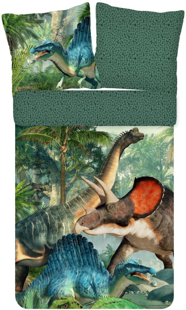 ESPiCO Bettwäsche Trendy Bedding Dinos Jurassic Renforcé 135 x 200 + 80 x 80 cm Bild 1