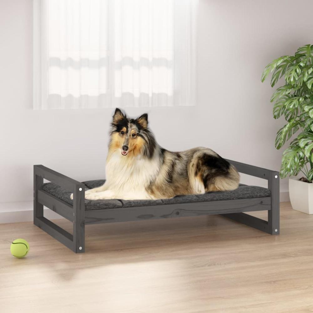 vidaXL Hundebett 95,5x65,5x28 cm Massivholz Kiefer, Grau Bild 1