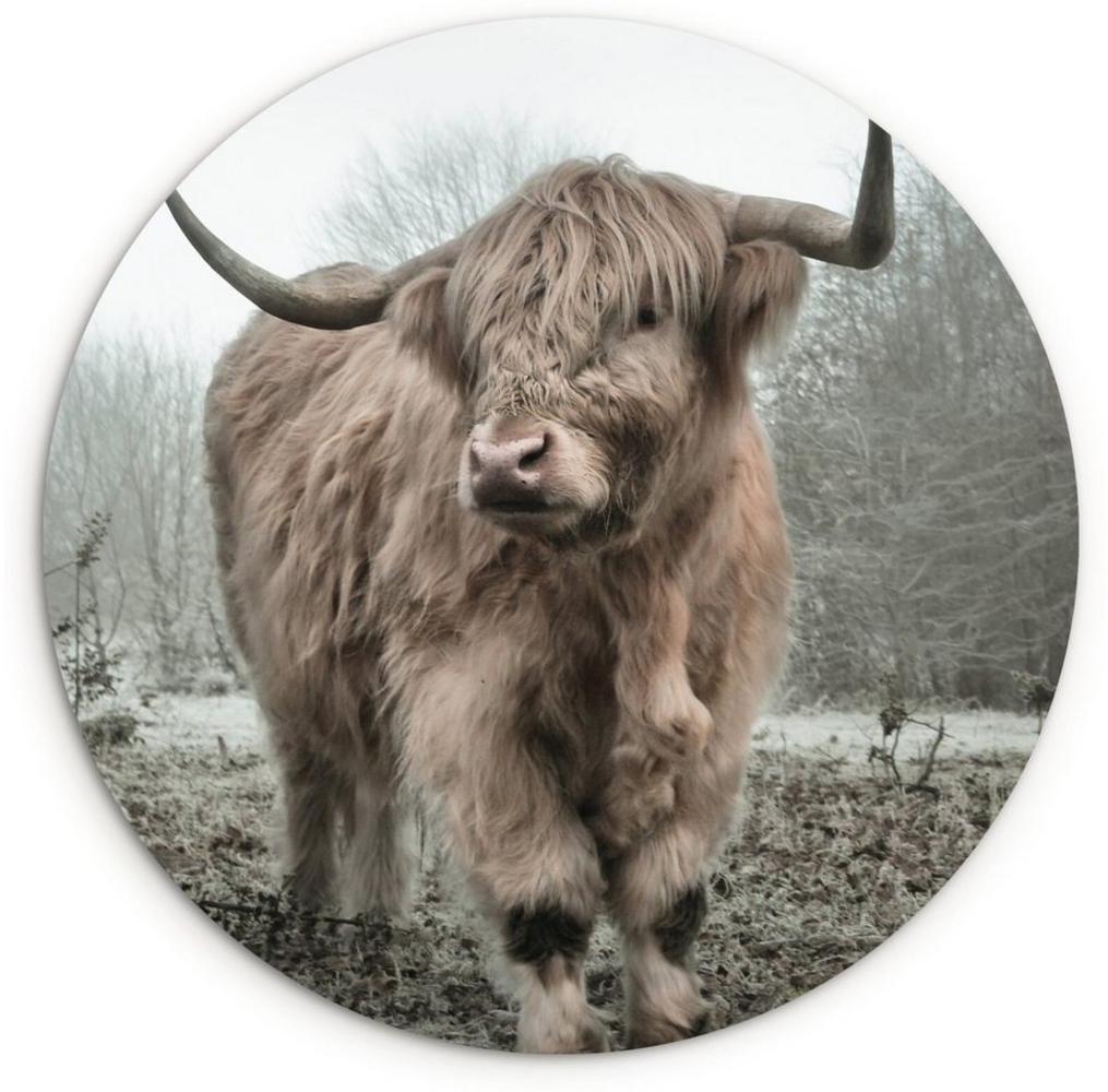MuchoWow Gemälde Schottische Highlander - Natur - Herbst - Tiere - Wildtiere - Wald, Fotodruck (1 St), Kreis Wanddekoration, Rundes Wandbild, 30x30 cm Bild 1