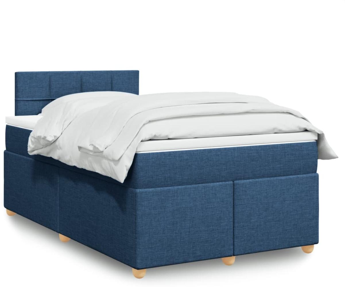 vidaXL Boxspringbett mit Matratze Blau 120x200 cm Stoff 3288953 Bild 1