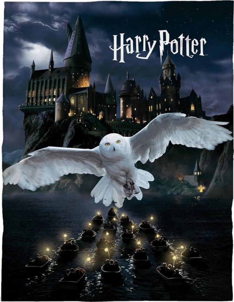 Harry Potter Kuscheldecke für Kinder und Teenager mit Eule Hedwig | Große Tagesdecke 150x200 cm Bild 1