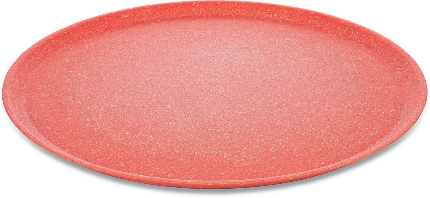 Koziol Großer Teller 4er-Set Connect Plate, Speiseteller, Kunststoff-Holz-Mix, Nature Coral, 25. 5 cm, 7101704 Bild 1