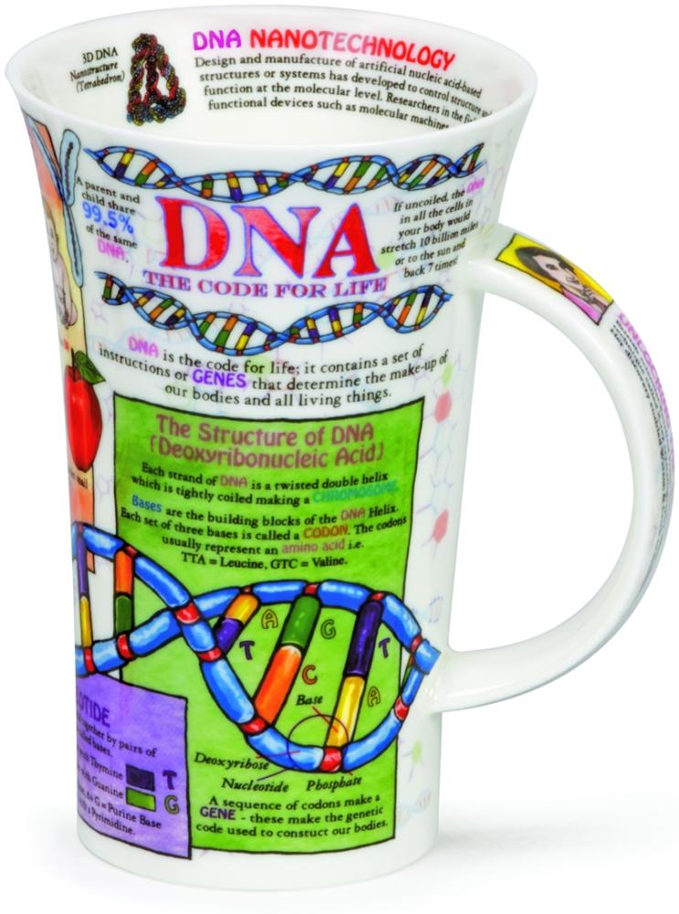 Becher Glencoe, "DNA" Bild 1