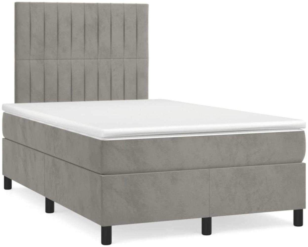 vidaXL Boxspringbett mit Matratze Hellgrau 120x190 cm Samt 3270007 Bild 1