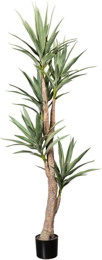 Künstliche Zimmerpflanze Dracaena Dracaena, Creativ green, Höhe 180 cm Bild 1