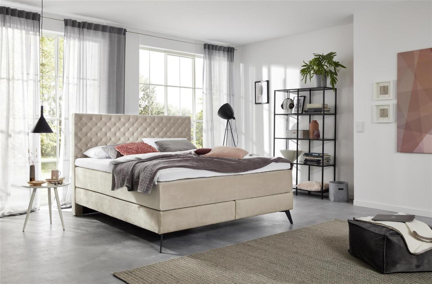 Boxspringbett Bett La Maison in verschiedenen Farben beige-Metallfuß grafit lackiert-160 x 200 cm Bild 1