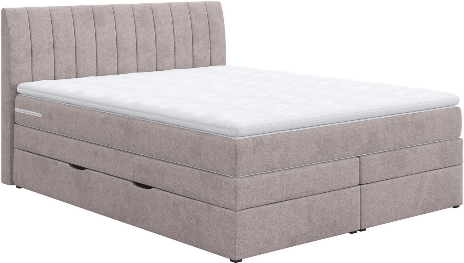 COTTA Boxspringbett Shark inkl. Bettkasten und Topper, erhältlich in den Breiten 140x200cm, 160x200cm und 180x200cm Bild 1