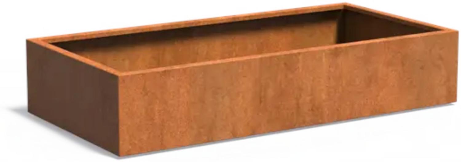 Adezz Pflanzgefäß Carrez Standard Rechteck aus Corten-Stahl Pflanzkübel Größe 200x100x40 cm Bild 1