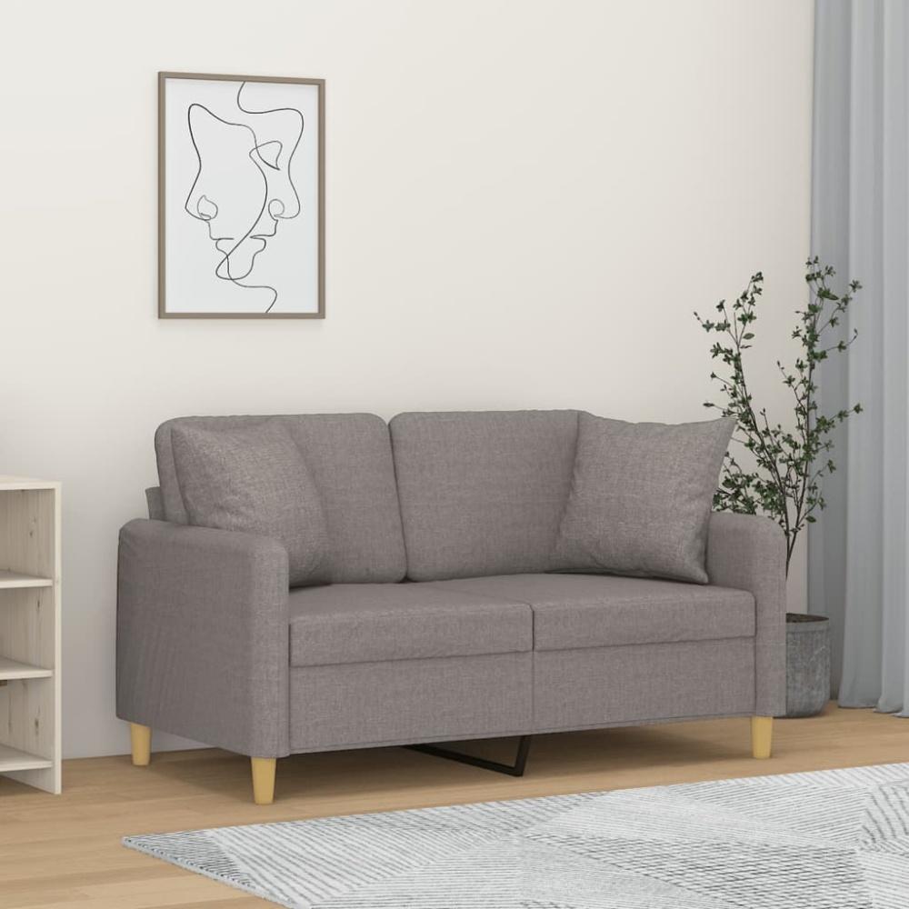 vidaXL 2-Sitzer-Sofa mit Zierkissen Hellgrau 120 cm Stoff 3200901 Bild 1