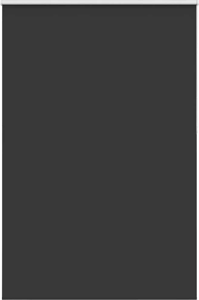 vidaXL Verdunkelungsrollo Schwarz 160x210 cm Stoffbreite 156,6 cm 4010932 Bild 1