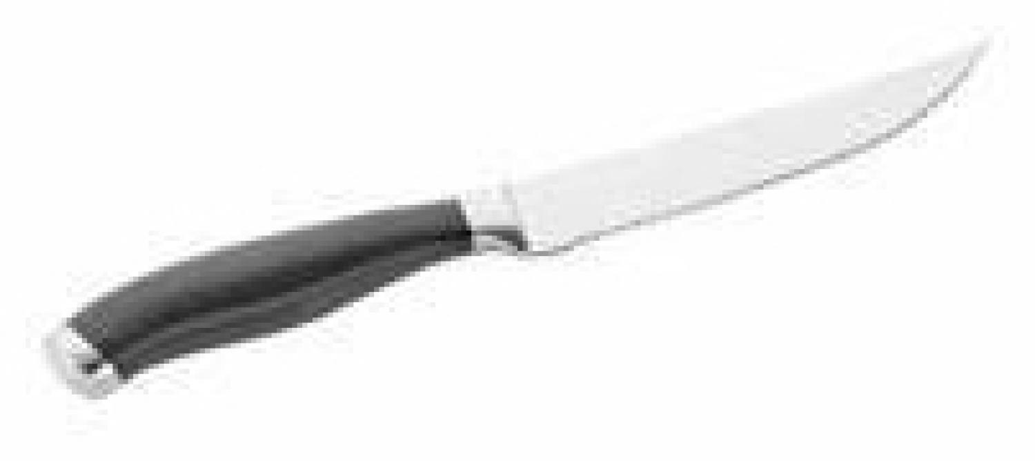 Pintinox 227725013 Steakmesser mit Sägeschliff Bild 1