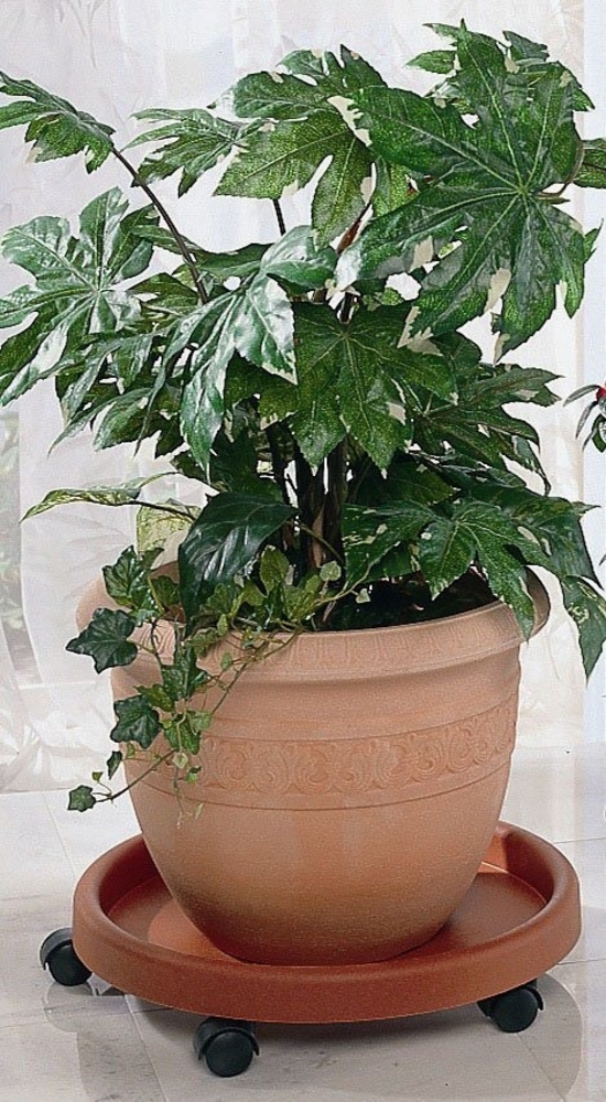 Ruco Blumentopfuntersetzer, Set, 2-tlg, Kunststoff, Ø 34 cm Bild 1