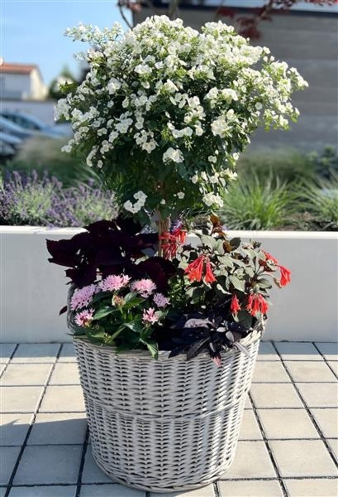 Rattan Pflanzkorb "Rustikal" rund Ø 60x45 cm groß, grau, Outdoor Blumentopf, Pflanzkübel, Pflanztopf für Draußen, Blumenkübel Bild 1