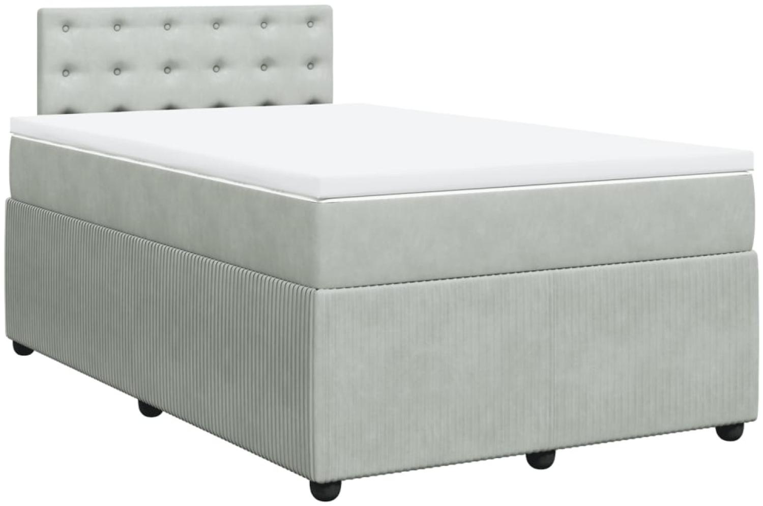 vidaXL Boxspringbett mit Matratze Hellgrau 120x200 cm Samt 3287722 Bild 1
