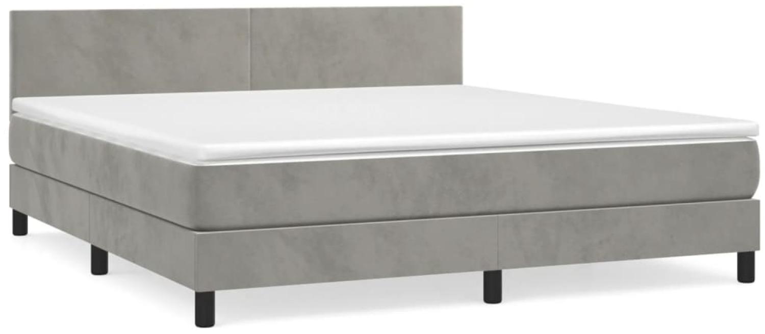 vidaXL Boxspringbett mit Matratze Hellgrau 160x200 cm Samt 3141191 Bild 1