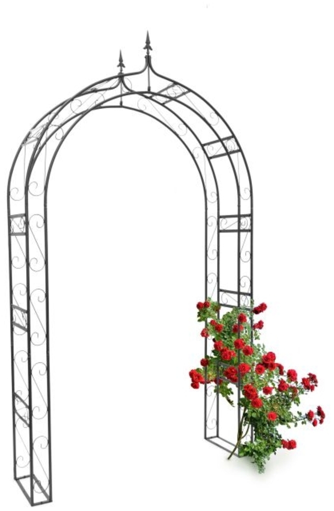 Rosenbogen mit Spitze Bild 1