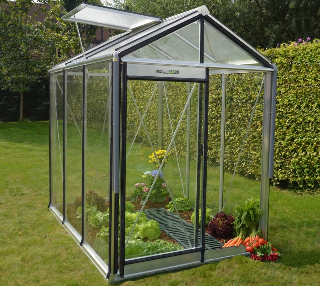ACD Glas Gewächshaus Piccolo P04 | Silber | Bild 1