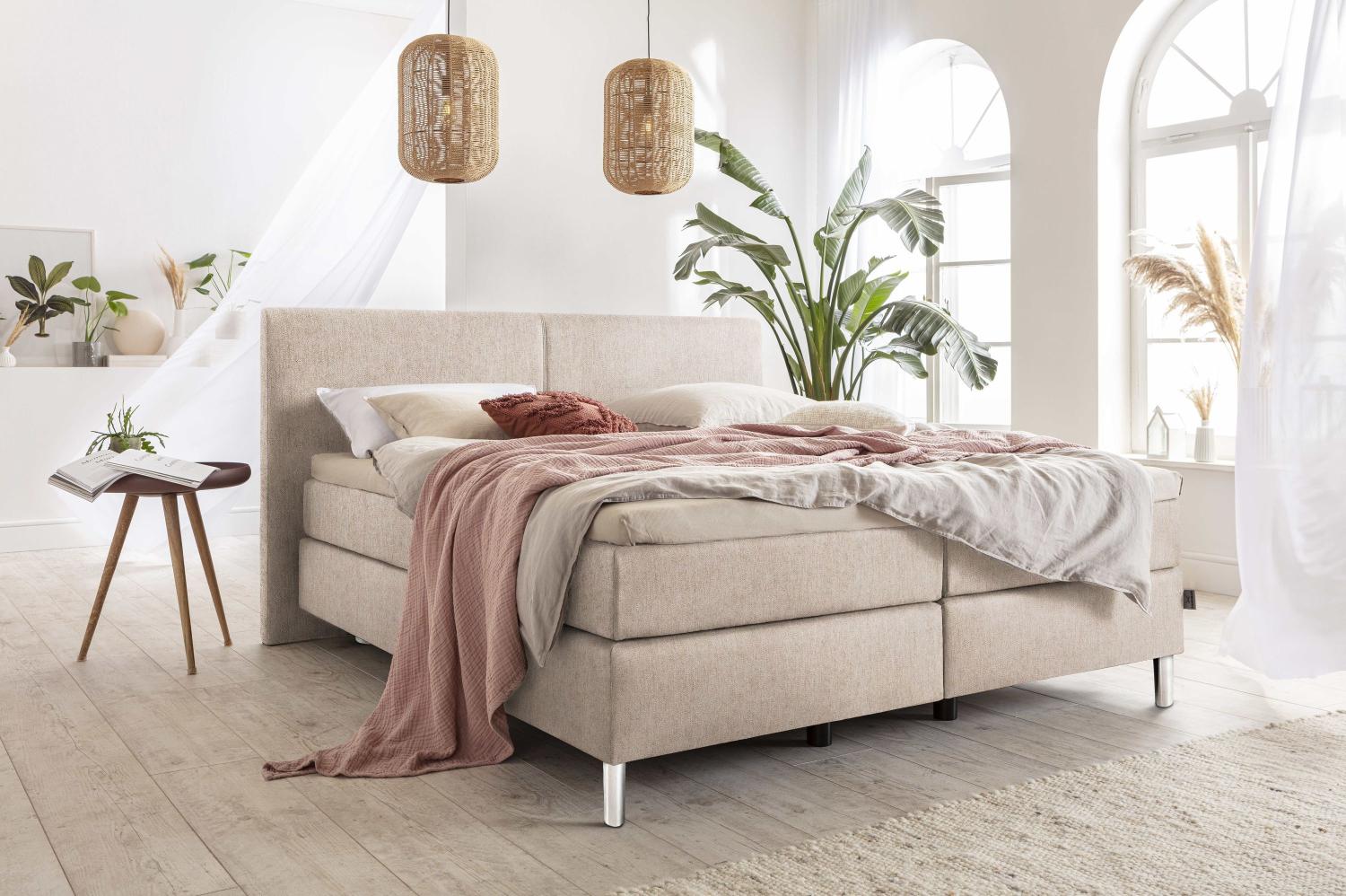 Boxspringbett SANSIBAR SVENDBORG Bild 1