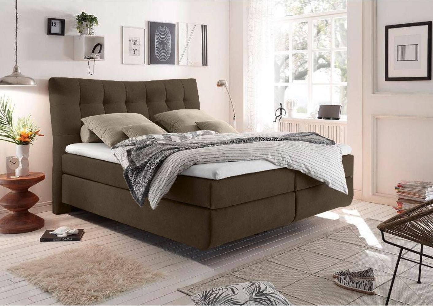 Boxspringbett 180x200 cm MALIBU-09 in Trinity 08 dark brown Bild 1