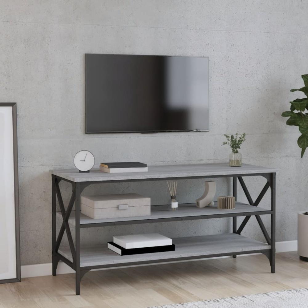 vidaXL TV-Schrank Grau Sonoma 100x40x50 cm Holzwerkstoff 825795 Bild 1
