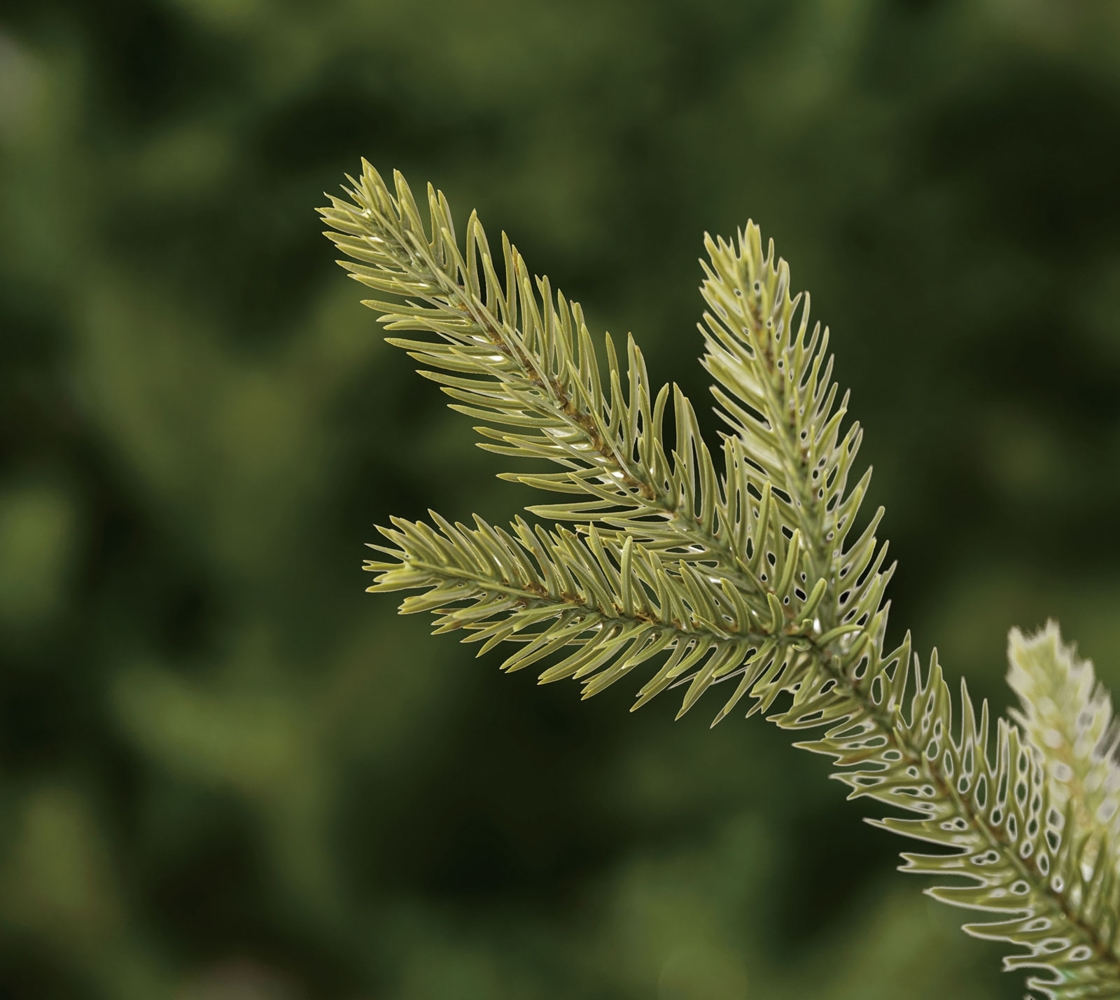 Evergreen Aspen S | künstlicher mini Bild 1