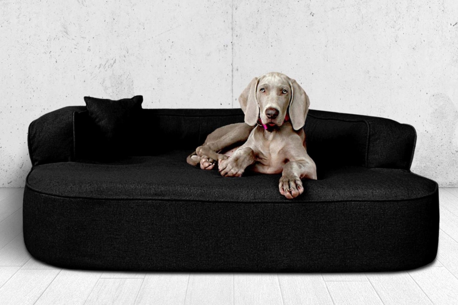 LOTTE Orthopädisches Hundesofa - 03 Schwarz, 120x90cm Bild 1