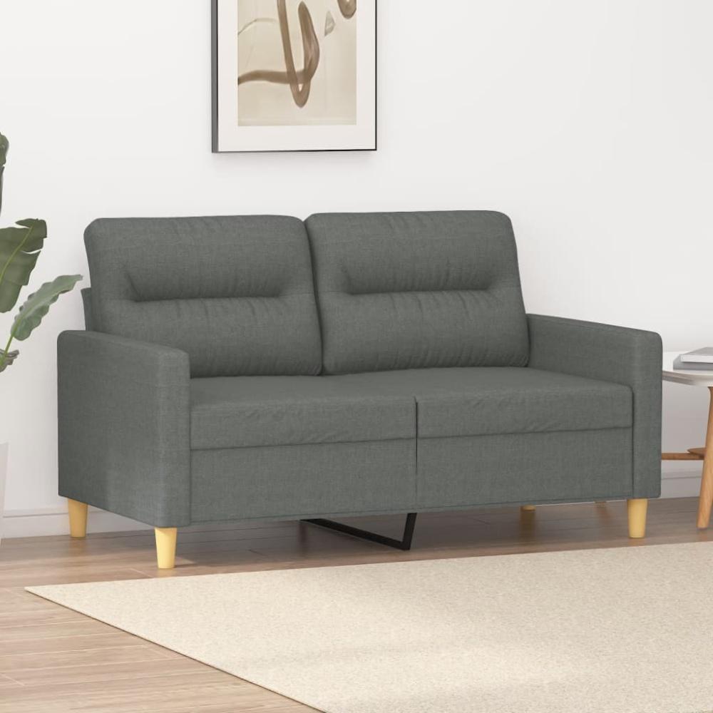 vidaXL 2-Sitzer-Sofa Dunkelgrau 120 cm Stoff 359228 Bild 1