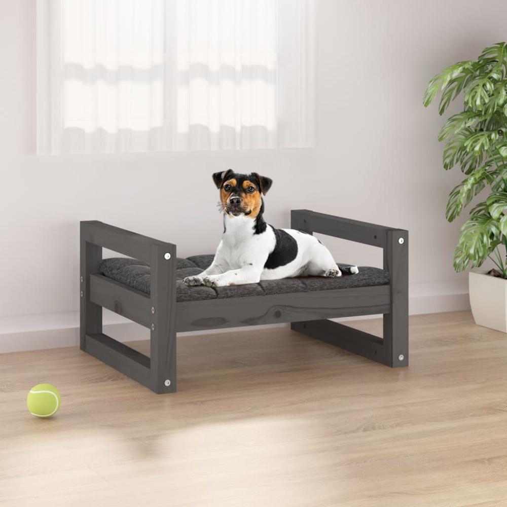 vidaXL Hundebett 55,5x45,5x28 cm Massivholz Kiefer, Grau Bild 1