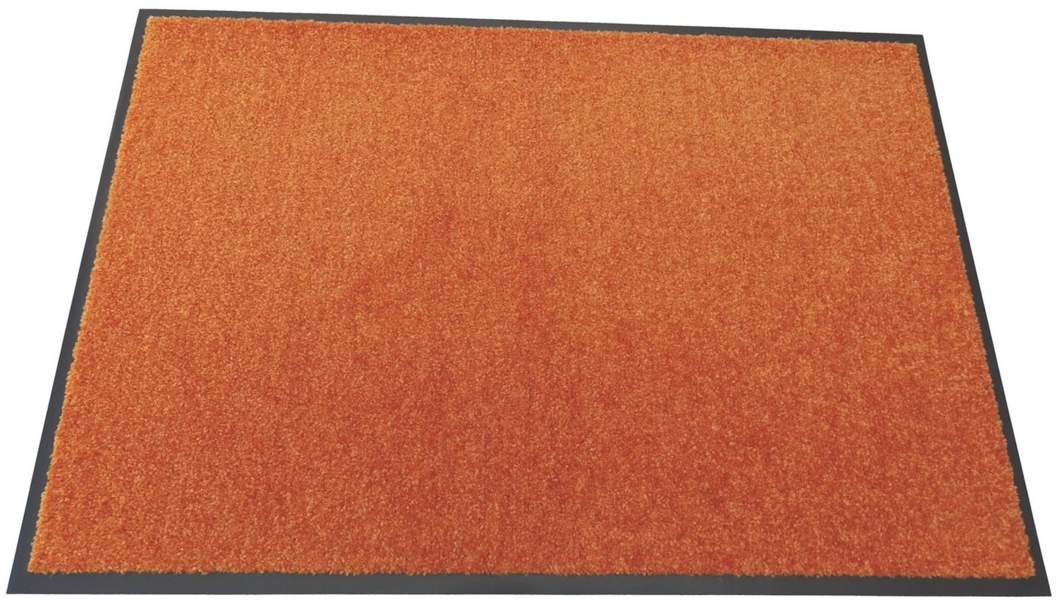 Mertex Fußmatte Kiel, Schmutzfangmatte rundum verlaufender Rand Bild 1