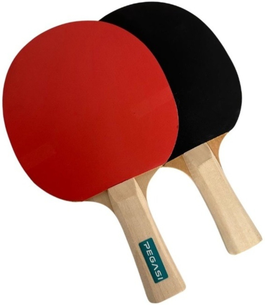 Pegasi Tischtennisschläger 2 Sterne Talentiert Bild 1
