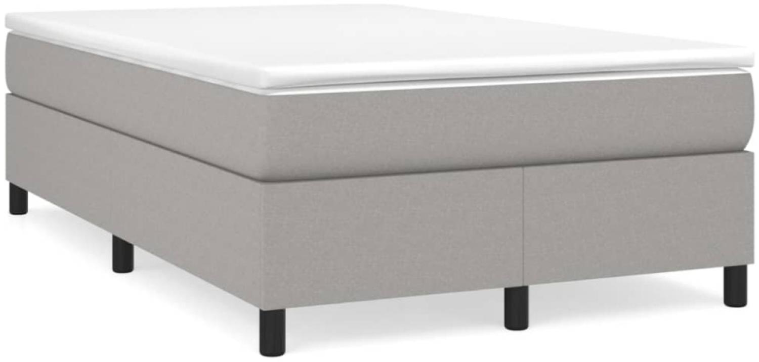 vidaXL Boxspringbett mit Matratze Hellgrau 120x190 cm Stoff 3269683 Bild 1